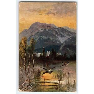 Signed Muller Artist Card Scenic Mountain and Ducks Vintage Postcard